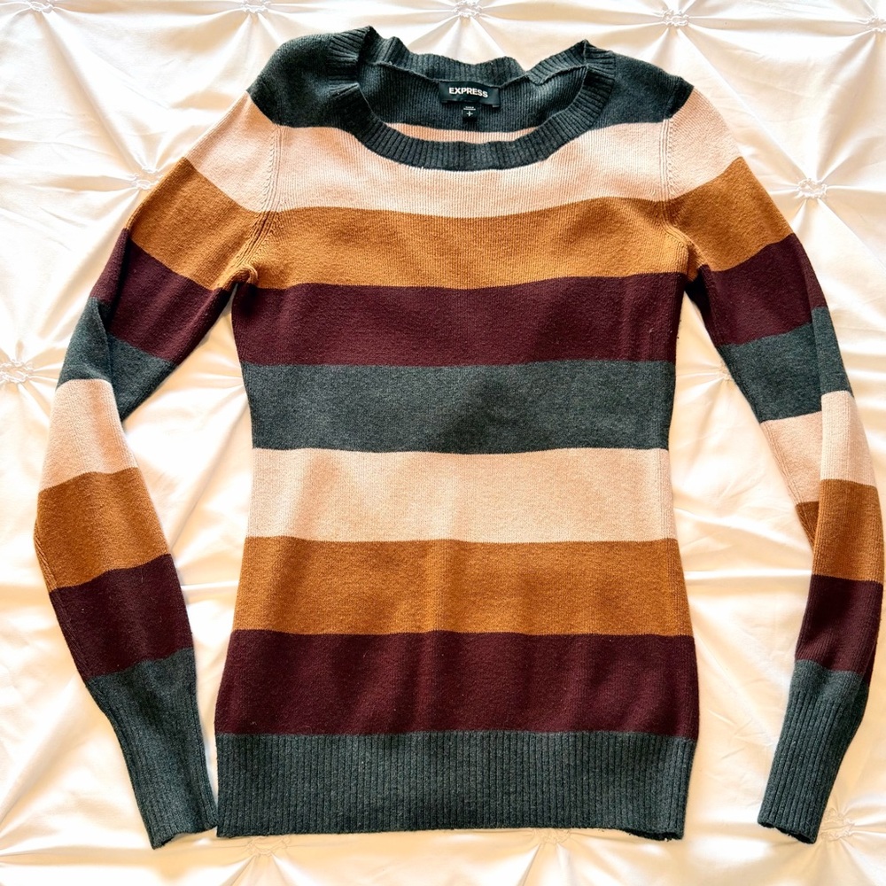 Express Fall Colorblock Crew Neck Sweater